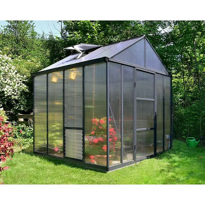 Palram – Canopia Gewächshaus Glory 8x8 - Außenmaß inkl. Dachüberstand (B x T): 244,5 x 244 cm, 10 mm, Anthrazit - Ein geräumiges Gewächshaus mit transparenten Wänden und einem schwarzen Rahmen, eingebettet in eine grüne Gartenlandschaft.