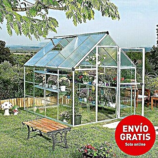 Pack de 4 Pluviómetros Exteriores con Soporte para el Jardín, Plástico,  Transparente, Hasta 35 mm/m²