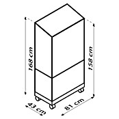 Vitavia Gewächshaus Stad (Außenmaß inkl. Dachüberstand (B x T): 81 x 42,8 cm, Material Seitenwand: Kunststoff, 4 mm, Aluminium, Mit Rollen) | BAUHAUS