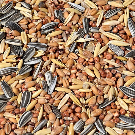 Dobar Wildvogelfutter