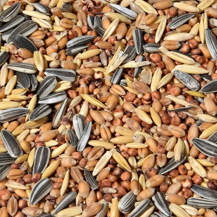 Dobar Wildvogelfutter - 20 kg - Nahaufnahme einer Mischung aus Vogelfutter, darunter Sonnenblumenkerne, Hafer und andere Samen.