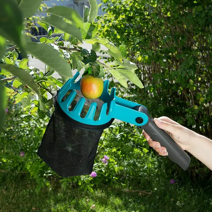 Gardena Combisystem ObstpflückerArbeitsbreite: 14 cm - Nahaufnahme eines Apfelpflückers in Aktion, der einen reifen Apfel vom Baum pflückt. Das praktische Gerät erleichtert die Ernte.