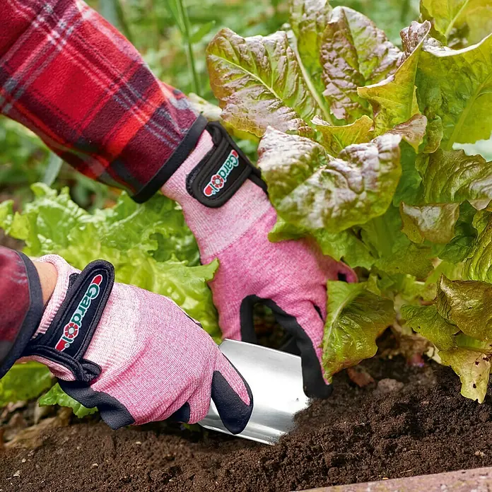 Gardol Gartenhandschuhe Pflanzen - 7, Pink - Nahaufnahme von Gartenhandschuhen der Marke "Gard" beim Arbeiten im Garten, umgeben von frischem Salat und Erde.