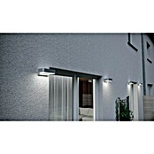 Steinel LED-Außenleuchte L 800 iHF Downlight (8 W, Silber, L x B x H: 145 x 230 x 88 mm)