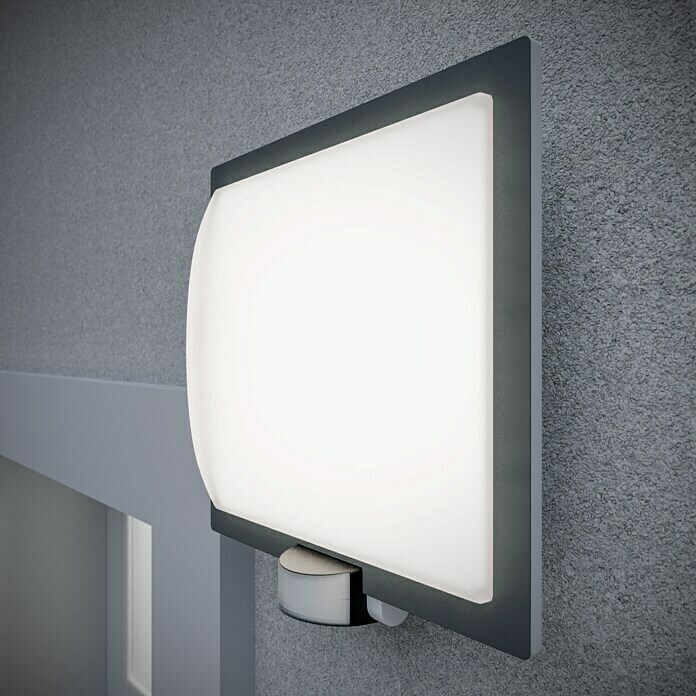 Steinel Vanjska svjetiljka sa senzorom (60 W, Boja: Antracit / bijelo, D x Š x V: 8 x 24 x 23 cm, IP44)