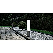 Starlux Laholm LED-Außensockelleuchte (L x B x H: 7 x 5,2 x 50 cm, Dunkelgrau, 8 W) | BAUHAUS