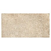 Feinsteinzeugfliese Ikon (60 x 120 cm, Beige, Matt) | BAUHAUS