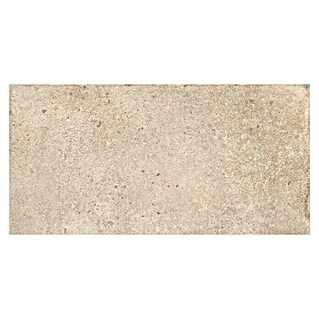 Feinsteinzeugfliese Ikon (60 x 120 cm, Beige, Matt)