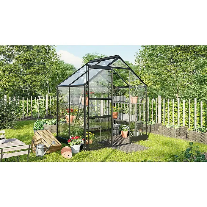 Vitavia Gewächshaus Eris 2500 - Außenmaß inkl. Dachüberstand (B x T): 23 x 136,6 cm, Material Seitenwand: Glas, 3 mm, Schwarz - Bild eines Gewächshauses mit Pflanzen auf Regalen im Garten.