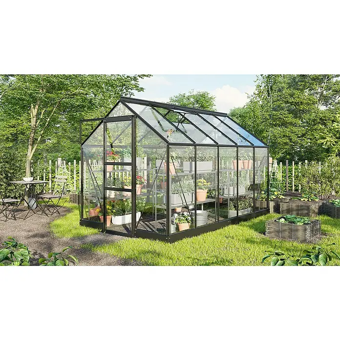 Vitavia Gewächshaus Eris 6200 - Außenmaß inkl. Dachüberstand (B x T): 195 x 323,2 cm, Material Seitenwand: Glas, 3 mm, Schwarz - Ein Gewächshaus mit Pflanzenregalen steht in einem Garten neben einem Tisch mit Stühlen. Das Gewächshaus ist aus Glas und hat einen schwarzen Rahmen.