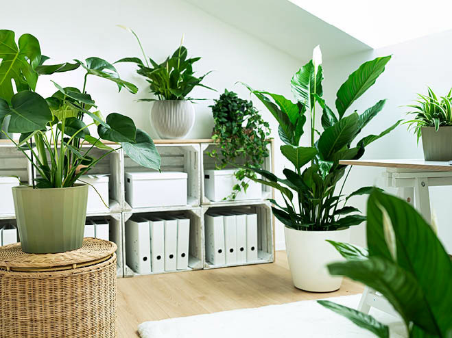 Büro