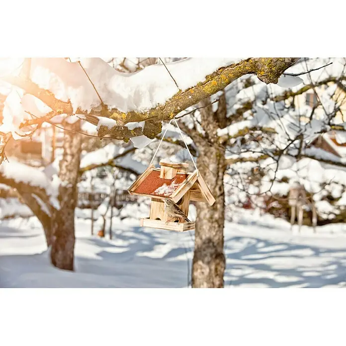 Windhager Vogelhaus Gaisberg - L x B x H: 23 x 26,5 x 24,5 cm, Natur, Geflammt, Holz - Ein hölzernes Vogelhaus hängt an einem schneebedeckten Ast, während ein kleiner Vogel darin sitzt.