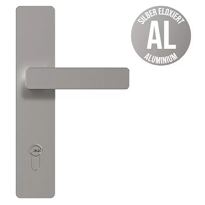 Gerda Haustür Thermo Prime 75 Rodan - 110 cm x 210 mm, DIN Anschlag: Rechts, Anthrazitgrau, Details in Edelstahl - Informationsansicht