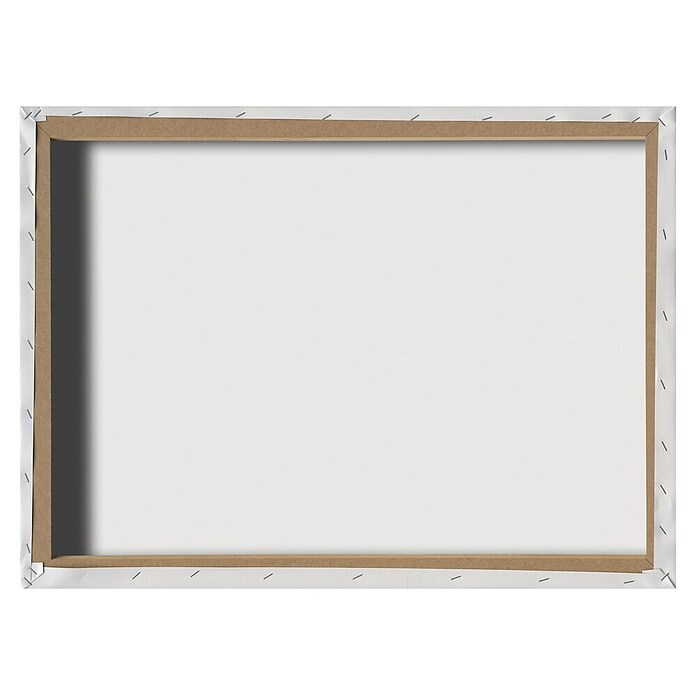ProArt Slika na drvenom okviru (80 x 60 cm)