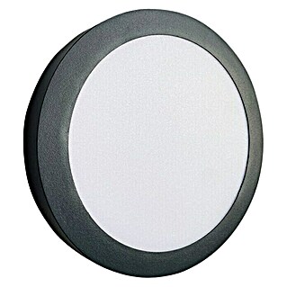 Ferotehna LED panel Slim (24 W, 1.800 lm, Ø x V: 225 x 32 mm, Boja svjetla: Hladna bijela)