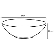 Schale Tabo (Ø x H: 20 x 6,5 cm, Grün) | BAUHAUS