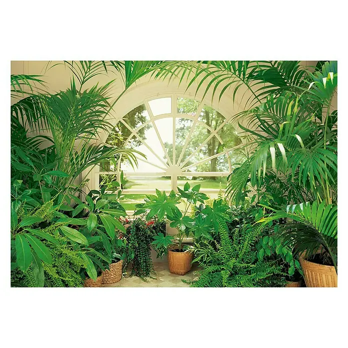Fotomural Winter garden - An x Al: 366 x 254 cm, Papel - Exuberantes plantas de interior en cestas de mimbre frente a una gran ventana, que ofrece una vista verde. Lleva la naturaleza a tu hogar.