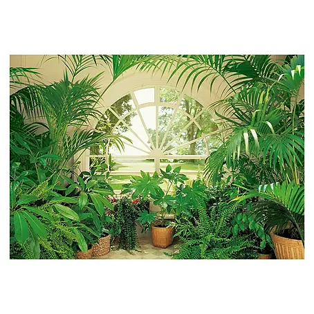 Fotomural Winter garden