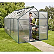 Vitavia Gewächshaus (3,77 x 1,98 x 1,96 m, Glasstärke: 6 mm, Smaragd)