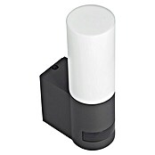 Steinel Sensor-LED-Außenwandleuchte L605 (9,5 W, Anthrazit, Mit Bewegungsmelder, L x B x H: 13,1 x 7,8 x 26 cm)