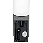 Steinel Sensor-LED-Außenwandleuchte L605 (9,5 W, Anthrazit, Mit Bewegungsmelder, L x B x H: 13,1 x 7,8 x 26 cm)