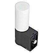 Steinel Sensor-LED-Außenwandleuchte L605 (9,5 W, Anthrazit, Mit Bewegungsmelder, L x B x H: 13,1 x 7,8 x 26 cm)