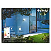 Steinel Aplique exterior LED (1 luz, 21 W, Blanco cálido, IP44)