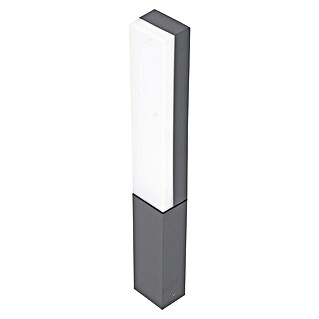 Starlux Laholm Sobremuro exterior (8 W, Color del marco: Gris oscuro, Blanco cálido, 7 x 5,2 x 50 cm, Con bombillas)