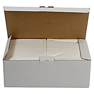 Reinigungstücher Classic in Spenderbox (Weiß, 100 Stk., Maße Tuch: 32 x 38 cm)