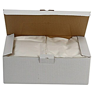 Reinigungstücher Soft in der Spenderbox (Weiß, 100 Stk., Maße Tuch: 32 x 38)