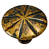 Nesu Pomo para muebles 260 (Ø x Al: 31 x 21 mm, Acero, Antiguo)