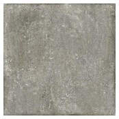 Terrassenfliese Anversa 2.0 (120 cm x 120 cm x 20 mm, Grau, Matt) | BAUHAUS