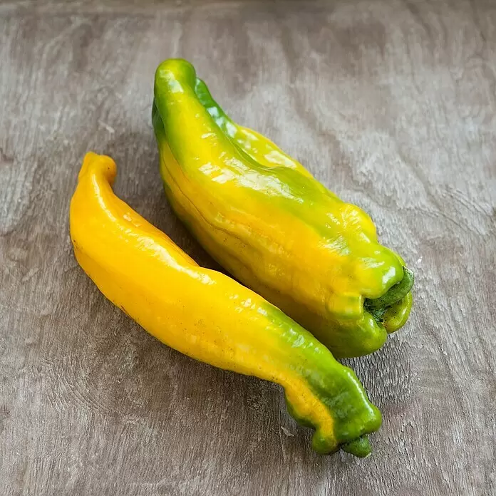 Piardino Paprika Bio 'Manati' - Capsicum annuum, Gelb, 11 cm, Erntezeit: Juli - Stimmungsaufnahme