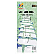 Starlux Set solarlampen Big (Met grondpen, 4 stk., 8 u)