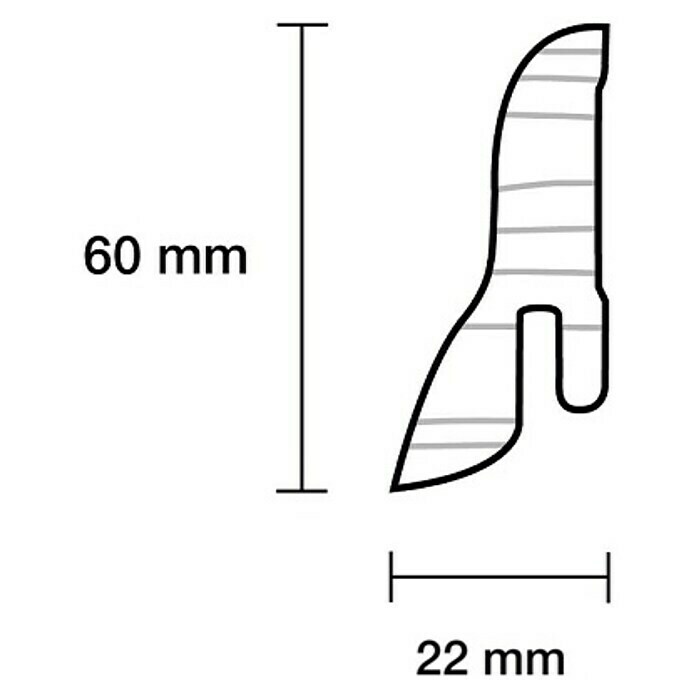 Sockelleiste (240 x 2,2 x 6 cm, Buche hell) | BAUHAUS