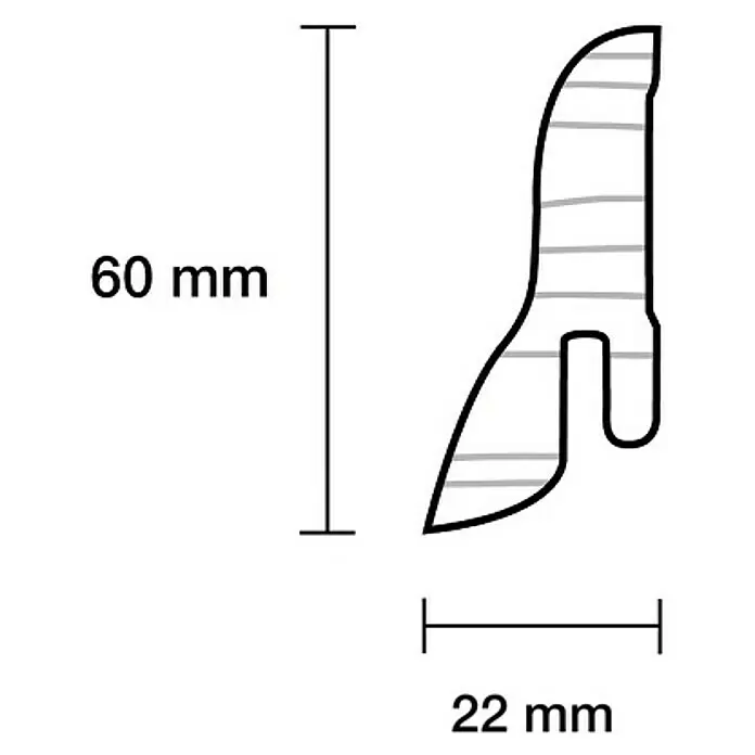 Sockelleiste - 240 x 2,2 x 6 cm, Buche hell - Querschnitt eines Dichtungsprofils, 60 mm hoch und 22 mm breit, mit geschwungener Form und Hakenbasis.