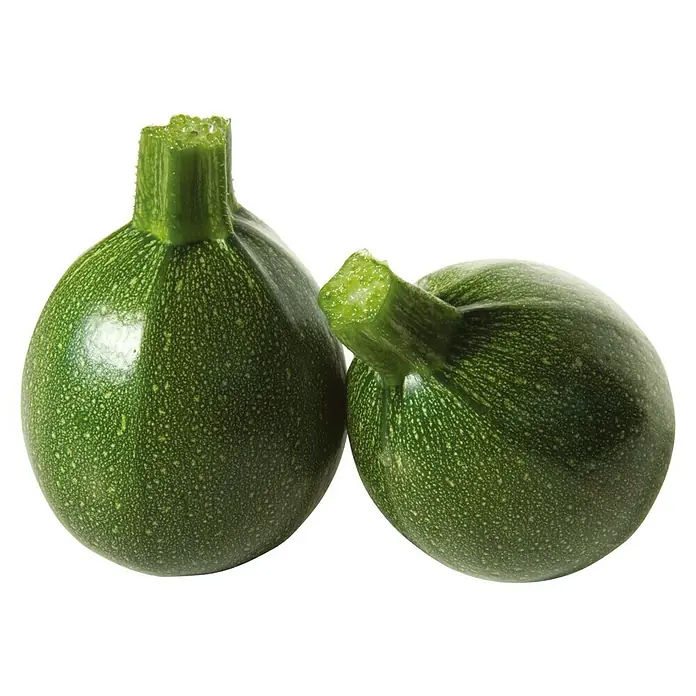 Piardino Zucchini - 10,5 cm, Erntezeit: August - Zwei runde Zucchini mit frischem Grün.