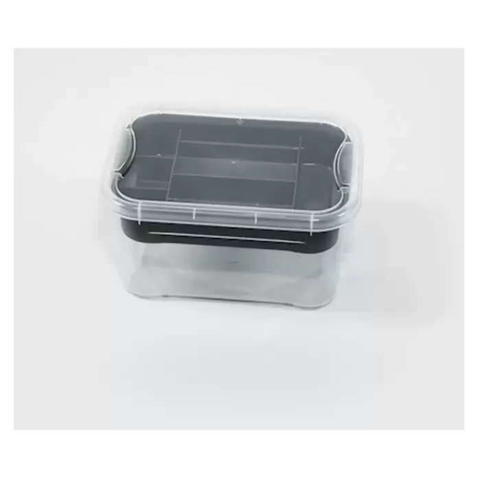Regalux Aufbewahrungsbox Clear-Box - L x B x H: 25,6 x 18,1 x 13,6 cm, 4 l, Transparent