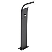 Starlux Sensor-LED-Außenwegeleuchte Udine (7 W, Warmweiß, Höhe: 600 mm, IP54)