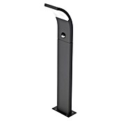 Starlux Sensor-LED-Außenwegeleuchte Udine (7 W, Warmweiß, Höhe: 600 mm, IP54)