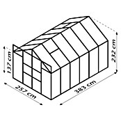 Vitavia Gewächshaus (3,83 x 2,57 x 2,3 m, Farbe: Aluminium, Einscheibensicherheitsglas (ESG), 3 mm)