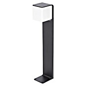 Steinel Baliza exterior LED con sensor (9,5 W, Antracita, L x An x Al: 13,2 x 11 x 63,25 cm)
