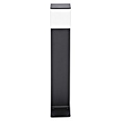 Steinel Baliza exterior LED con sensor (9,5 W, Antracita, L x An x Al: 13,2 x 11 x 63,25 cm)