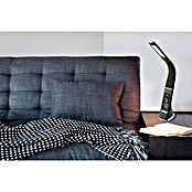 Globo LED-Tischleuchte Sophie (6 W, Einstellbare Farbtemperatur, L x B x H: 25 x 7 x 50 cm, Schwarz)