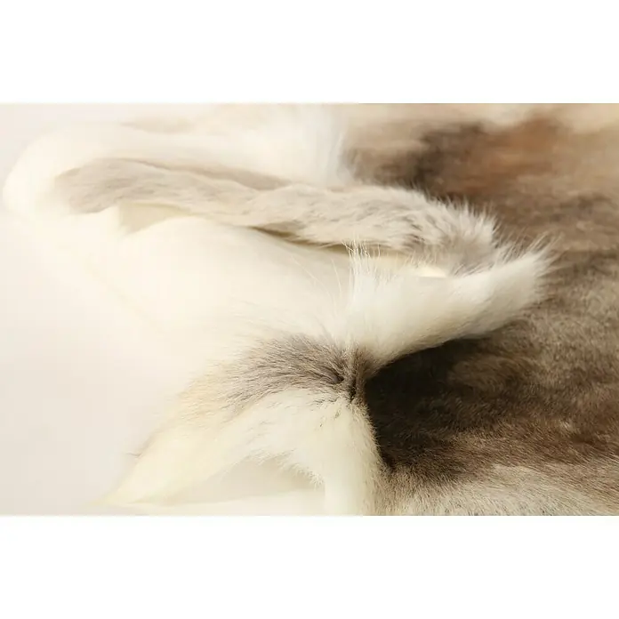 Esbeco Rentierfell - Braun/Weiß, 100 % Echtfell, 110 x 70 cm - Nahaufnahme eines Rentierfells mit weichen, weißen und grauen Farbtönen, ideal als rustikale und luxuriöse Dekoration für Ihr Zuhause.