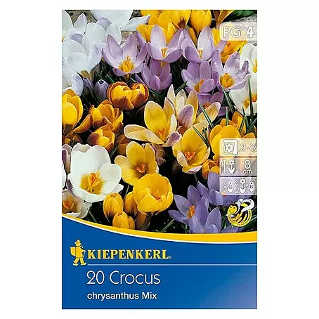 Kiepenkerl  Frühlingsblumenzwiebeln Chrysanthus Mix