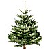 Piardino Nordmann kerstboom 