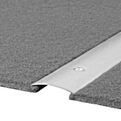 LOGOCLIC Prijelazni profil (Mat plemeniti čelik, 0,9 m x 30 mm x 3,5 mm, Vrsta montaže: Vijci, null)