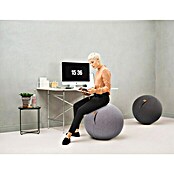 Sitting Ball Gymnastikball Felt (Grau, Durchmesser: 65 cm, Material Bezug: 100 % Polyester)