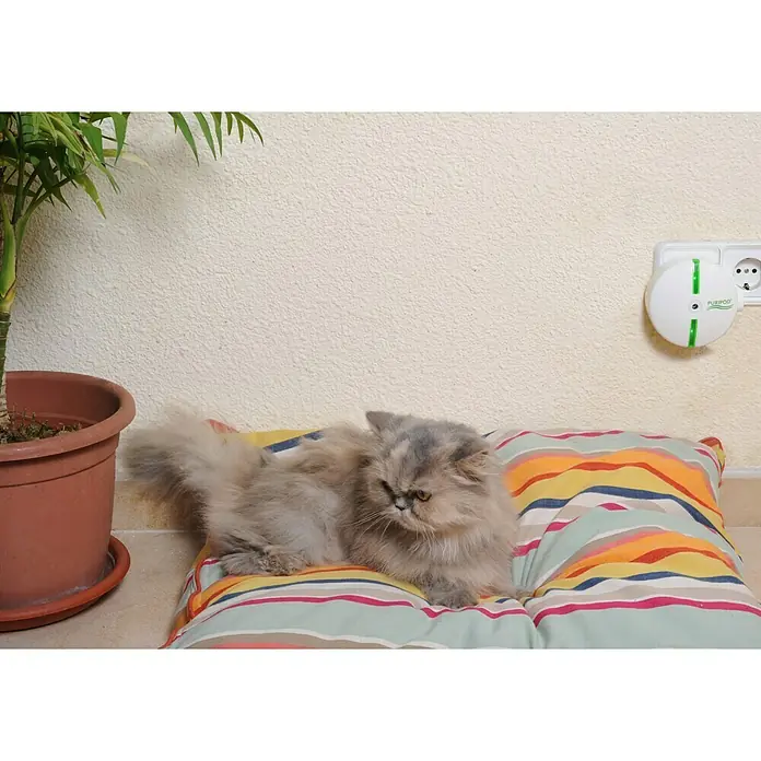 Luftreiniger Puripod - 4,5 W, Weiß, 8,5 x 11,4 x 10,7 cm - Katze entspannt auf einem bunten Kissen neben einer Zimmerpflanze und einem weißen Lufterfrischer an der Wand.